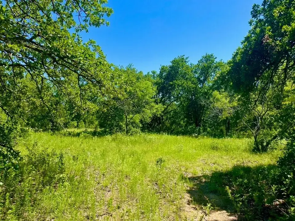Lot 39 Kilkenny Road, Poolville, TX 76487 - #1