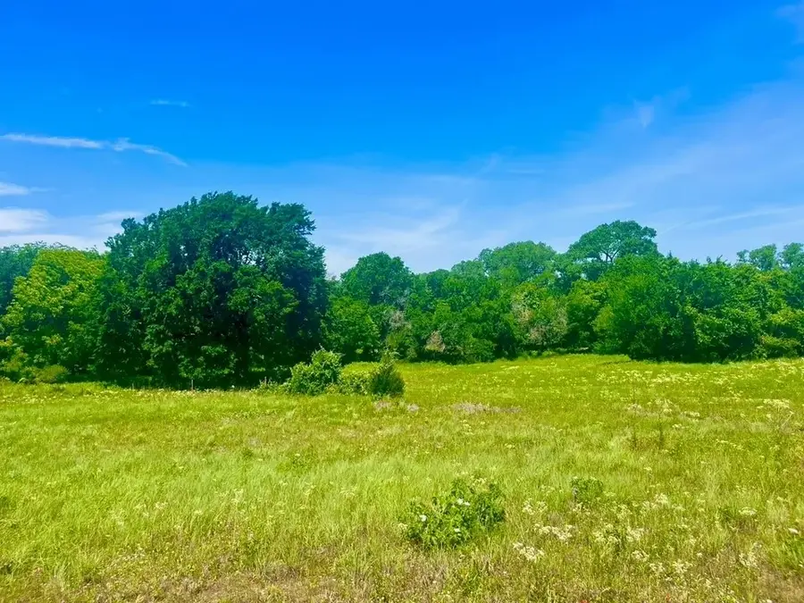 Lot 100 Arlow Road, Poolville, TX 76487 - #3
