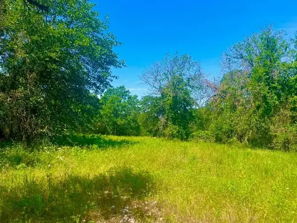 Lot 98 Arlow Road, Poolville, TX 76487