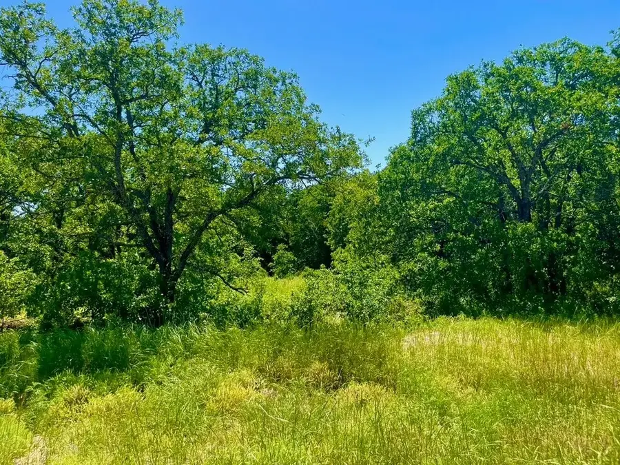 Lot 40 Kilkenny Road, Poolville, TX 76487 - #2
