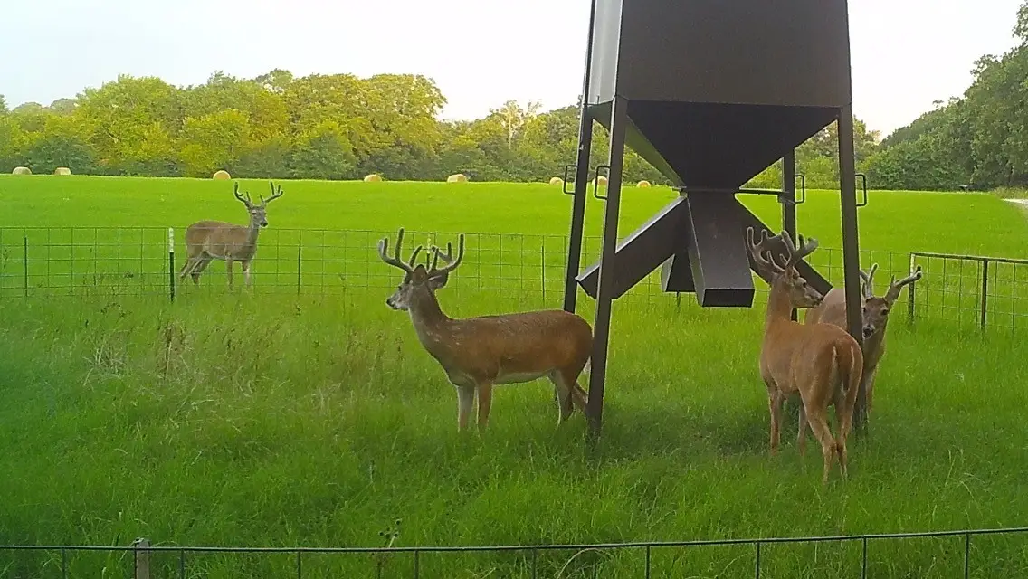 321 Private Road 6815, Eustace, TX 75124 - #1