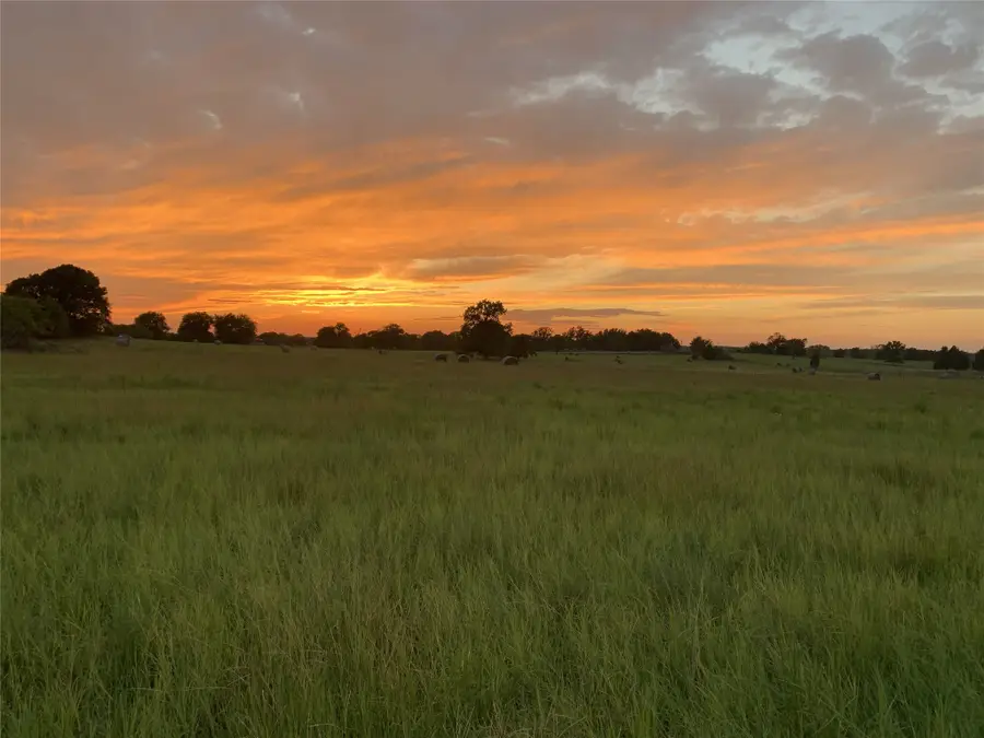 321 Private Road 6815, Eustace, TX 75124 - #2