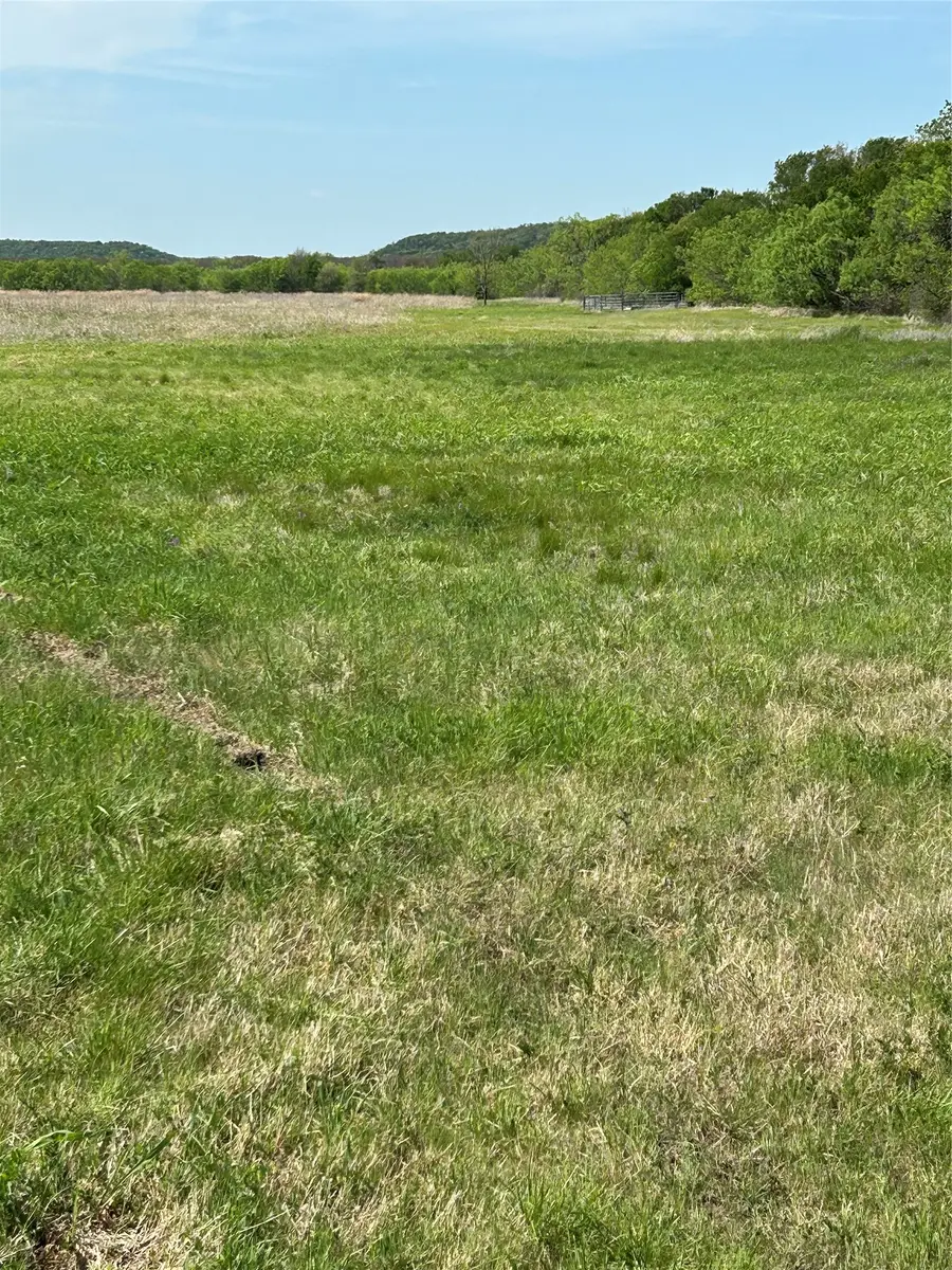 38295 N State Highway 108, Mingus, TX 76463 - #3