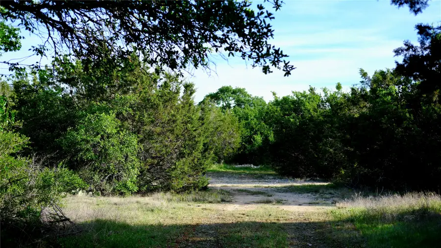 4611 Ibis Court, Granbury, TX 76049 - #3