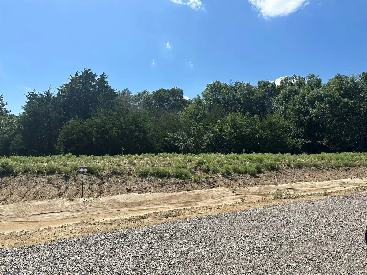 Lot 9 County Road 1110, Farmersville, TX 75442 - #1