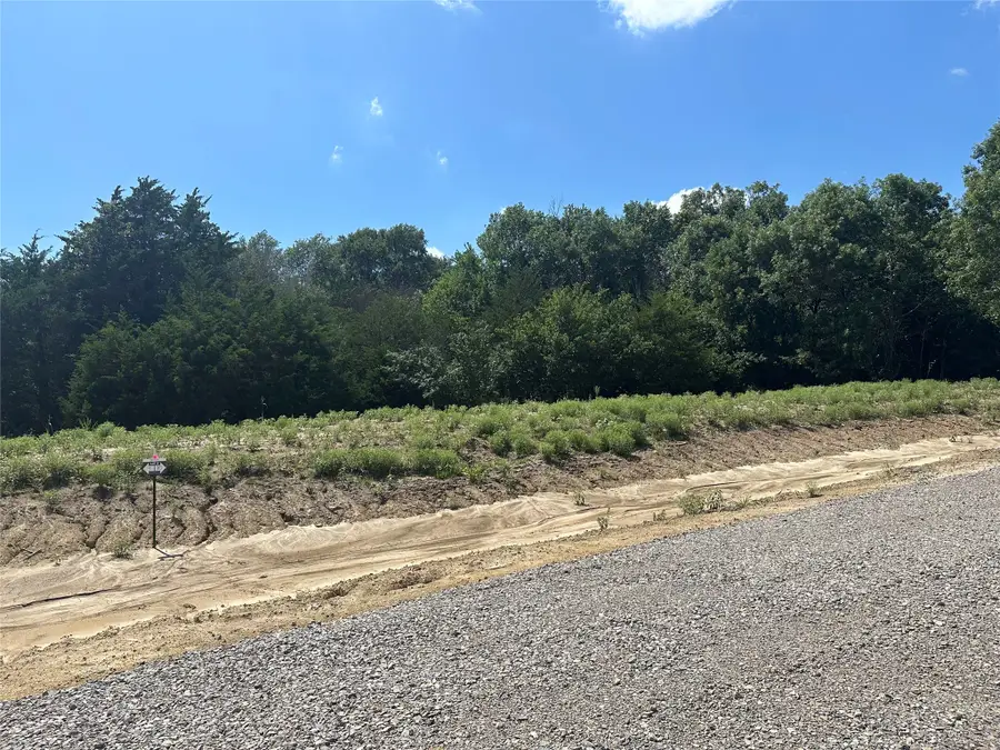 Lot 9 County Road 1110, Farmersville, TX 75442 - #2