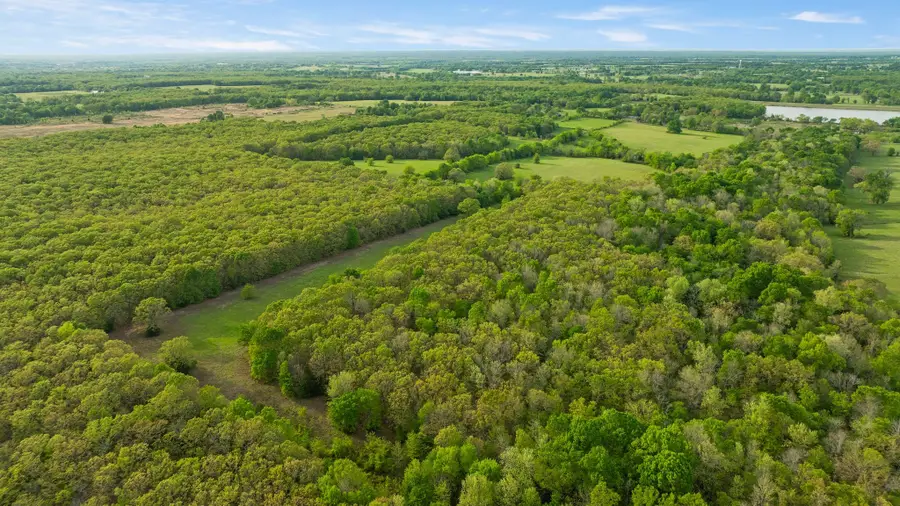 1386 County Road 43500, Paris, TX 75462 - #2