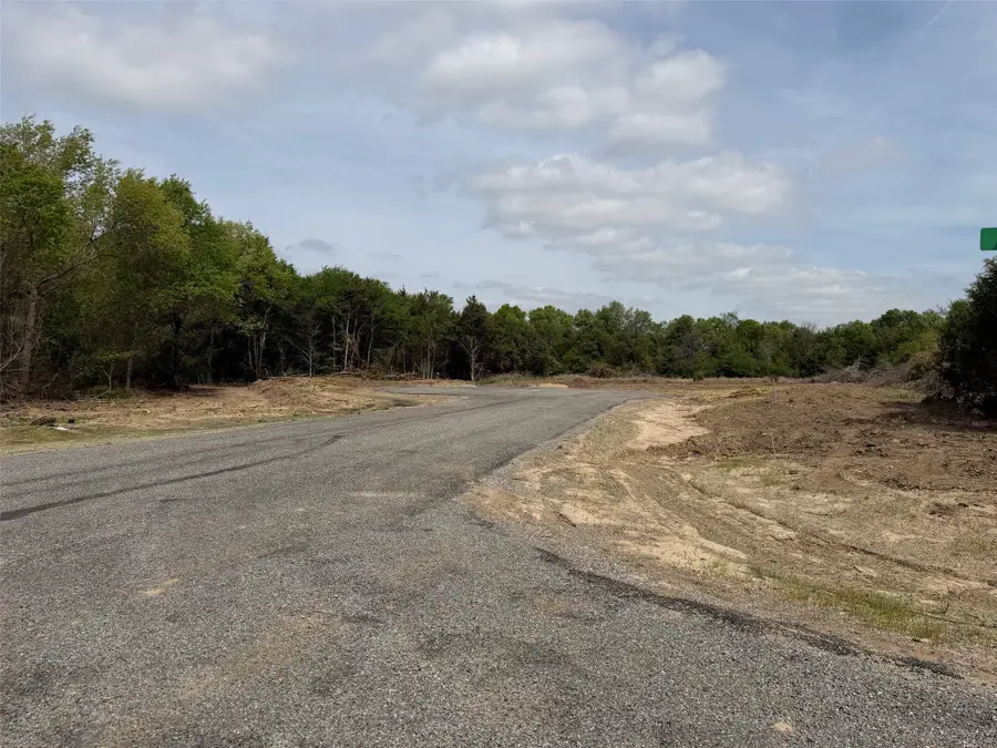 Lot 13 County Road 1110, Farmersville, TX 75442 - #2