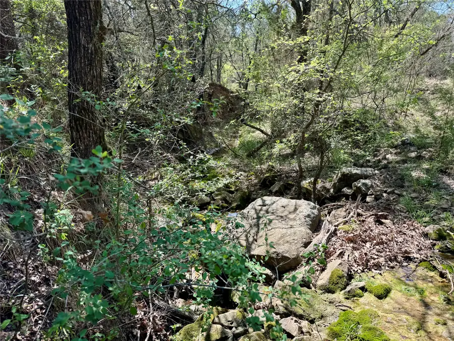 TBD Fm 1885, Perrin, TX 76486 - #2