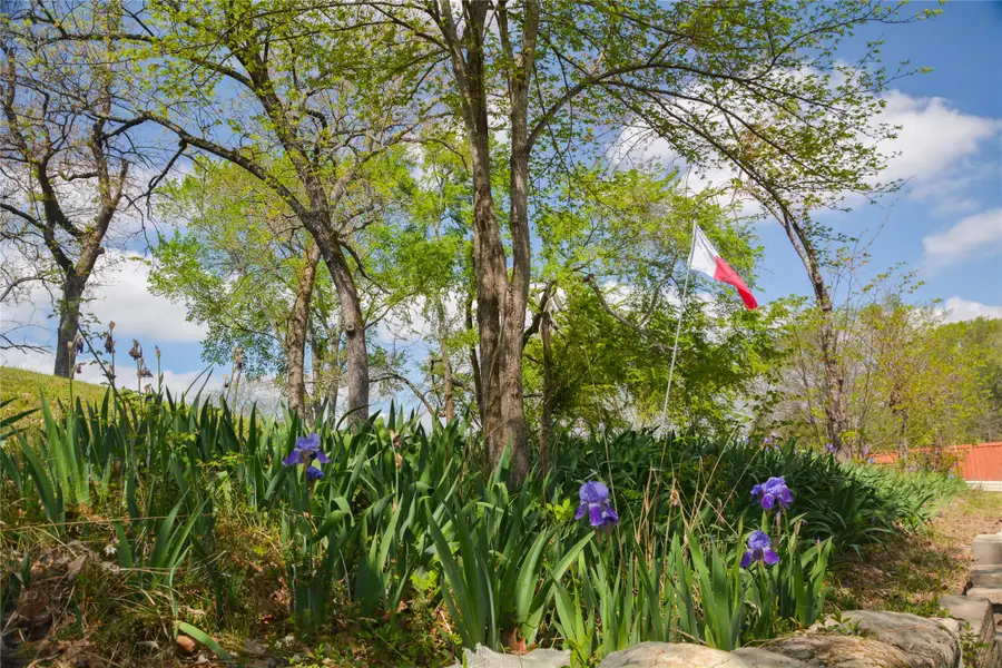 545 Vz County Road 2923, Mabank, TX 75147 - #2