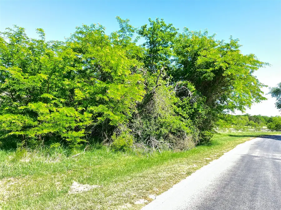 35044 Oak Wood Drive, Whitney, TX 76692 - #2