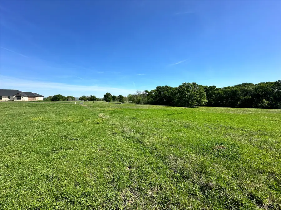 Lot 37 Sandy Cove Circle, Streetman, TX 75859 - #2