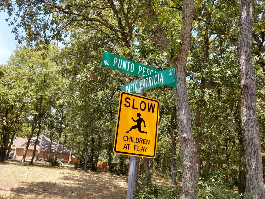 372 Punta Pescador, Gun Barrel City, TX 75147 - #3