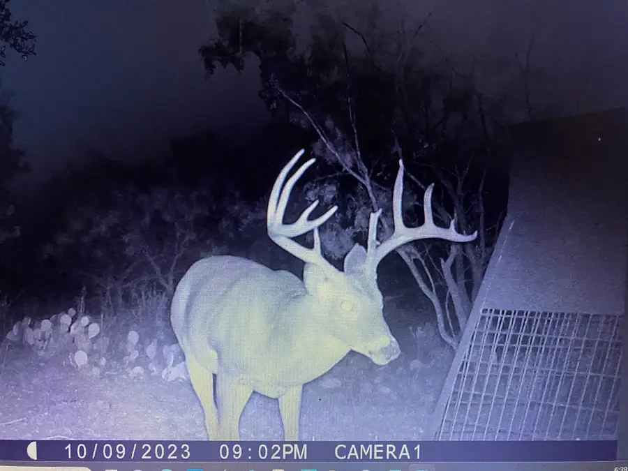 tbd Tbd Cntty Rd 291, Breckenridge South, TX 76464 - #2