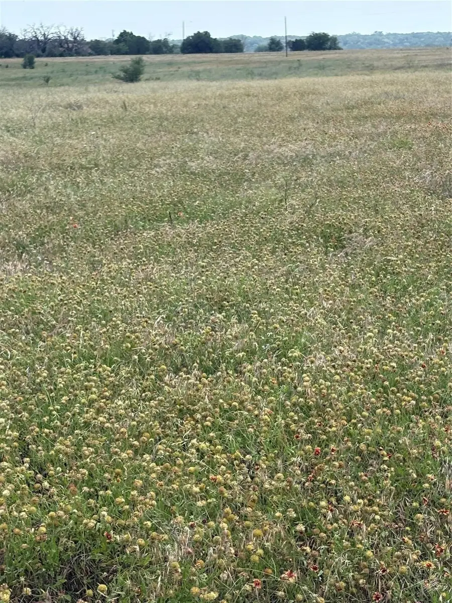 TBD LOT 1 Cr 3565, China Spring, TX 76633 - #3