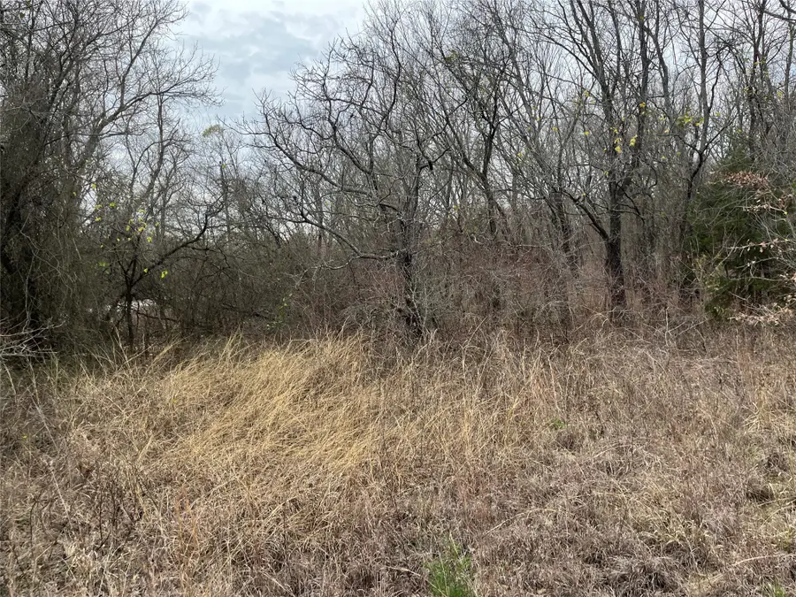 TBD Dry Valley Road, Sunset, TX 76270 - #3