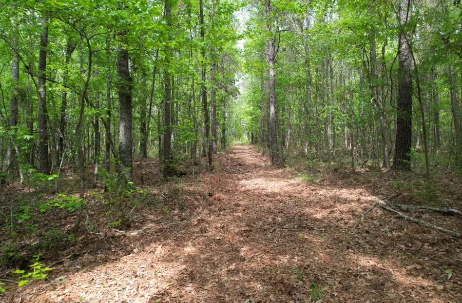 TBD County Road 120c, San Augustine, TX 75972 - #2