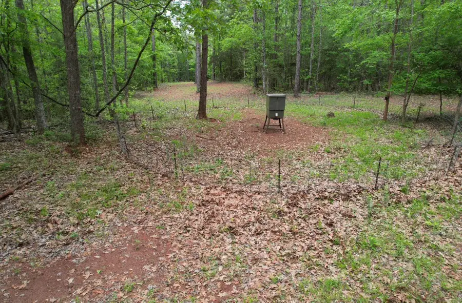 TBD County Road 120c, San Augustine, TX 75972 - #3