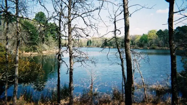 Lot 231 Safari Shores Drive, Larue, TX 75770 - #1