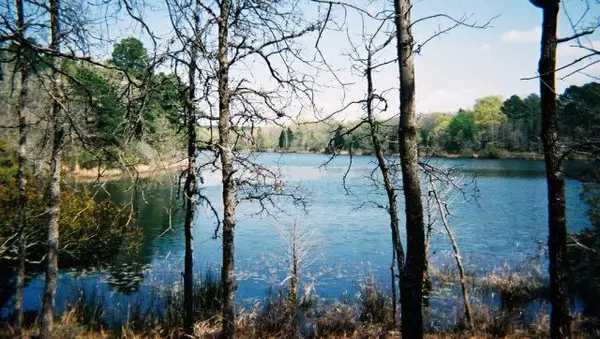 Lot 231 Safari Shores Drive, Larue, TX 75770