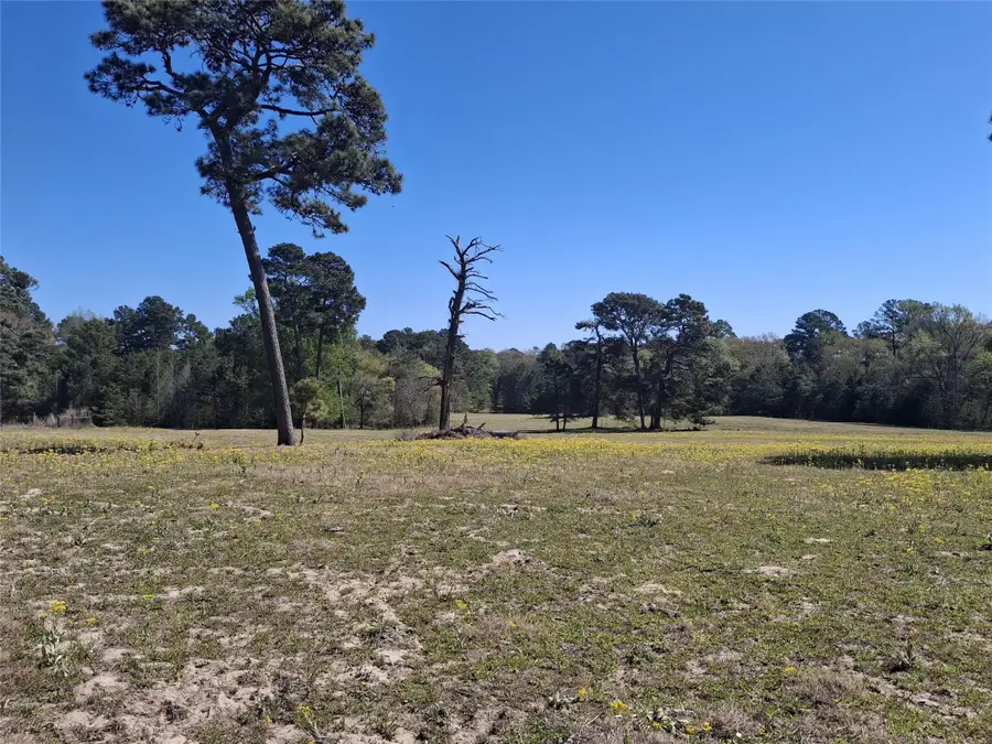 435 Fm 2064 N, Jacksonville, TX 75766 - #2