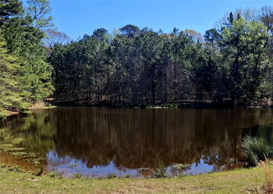 435 Fm 2064 N, Jacksonville, TX 75766 - #3