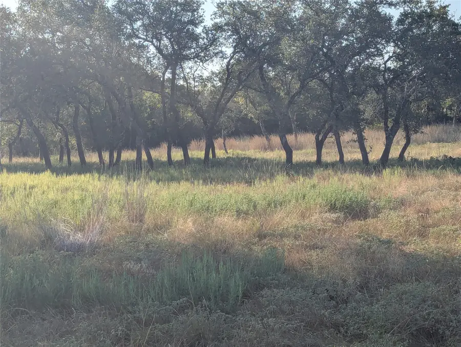 Tract 26 Cr 633, Indian Gap, TX 76531 - #2