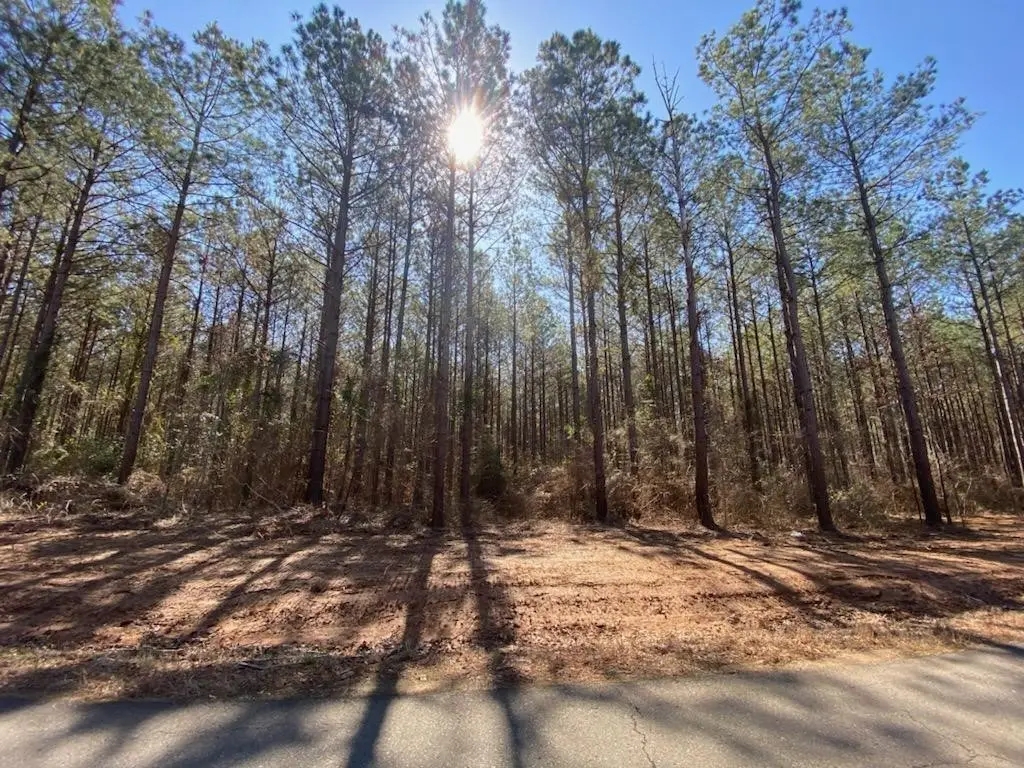 480 Cotton Valley Road, Haughton, LA 71037 - #1