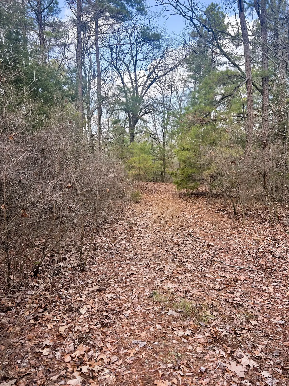 000 Private Road 8000, Winnsboro, TX 75494 - #1