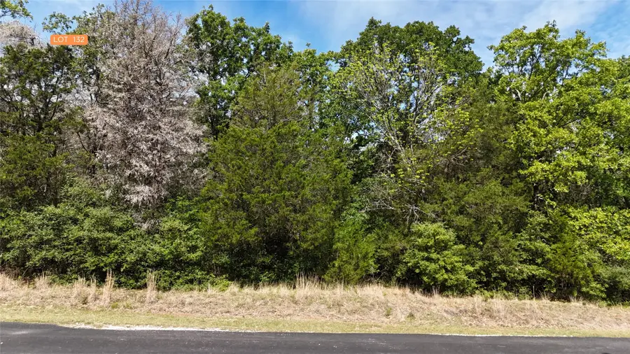 Lot 132 Lincoln Drive, Streetman, TX 75859 - #3