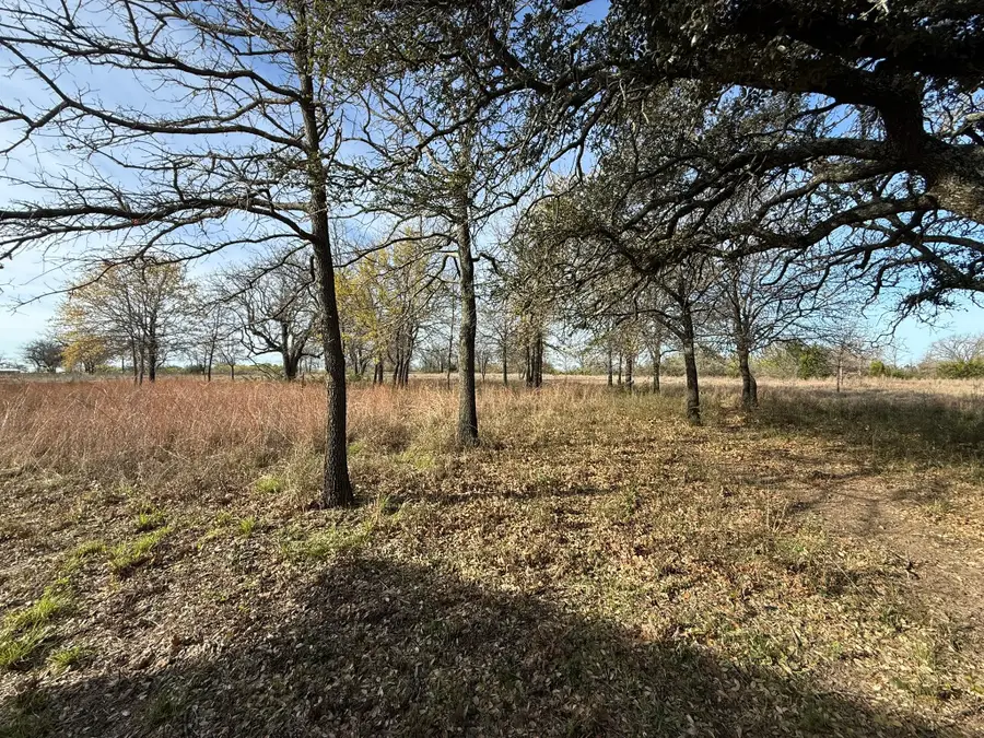 1128 Mambrino Highway, Granbury, TX 76048 - #2