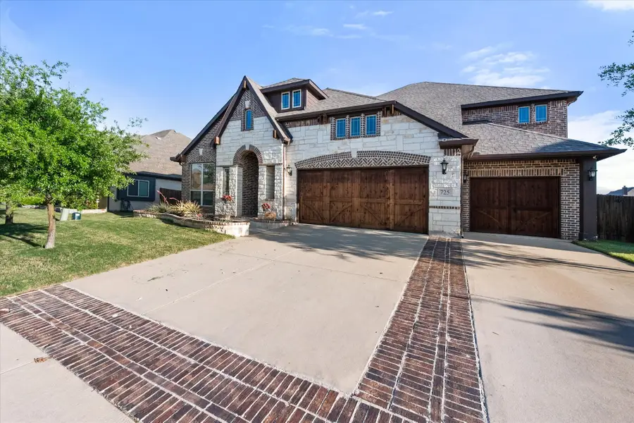 725 Staghorn Street, Midlothian, TX 76065 - #3