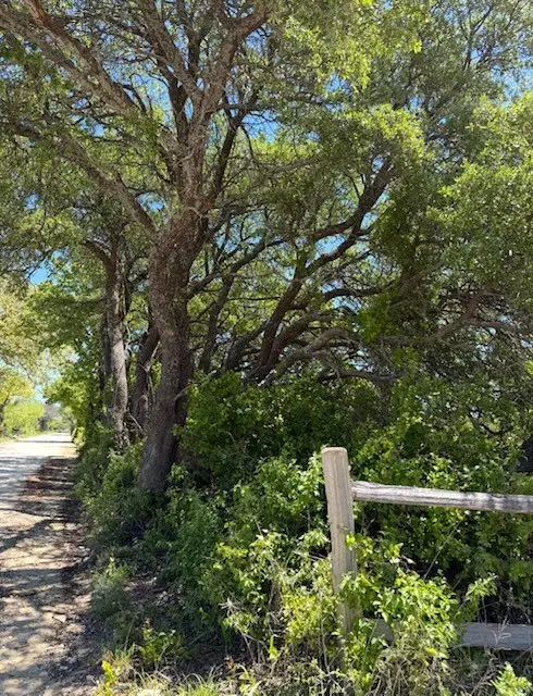 6665 Cr 132, Stephenville, TX 76401 - #3