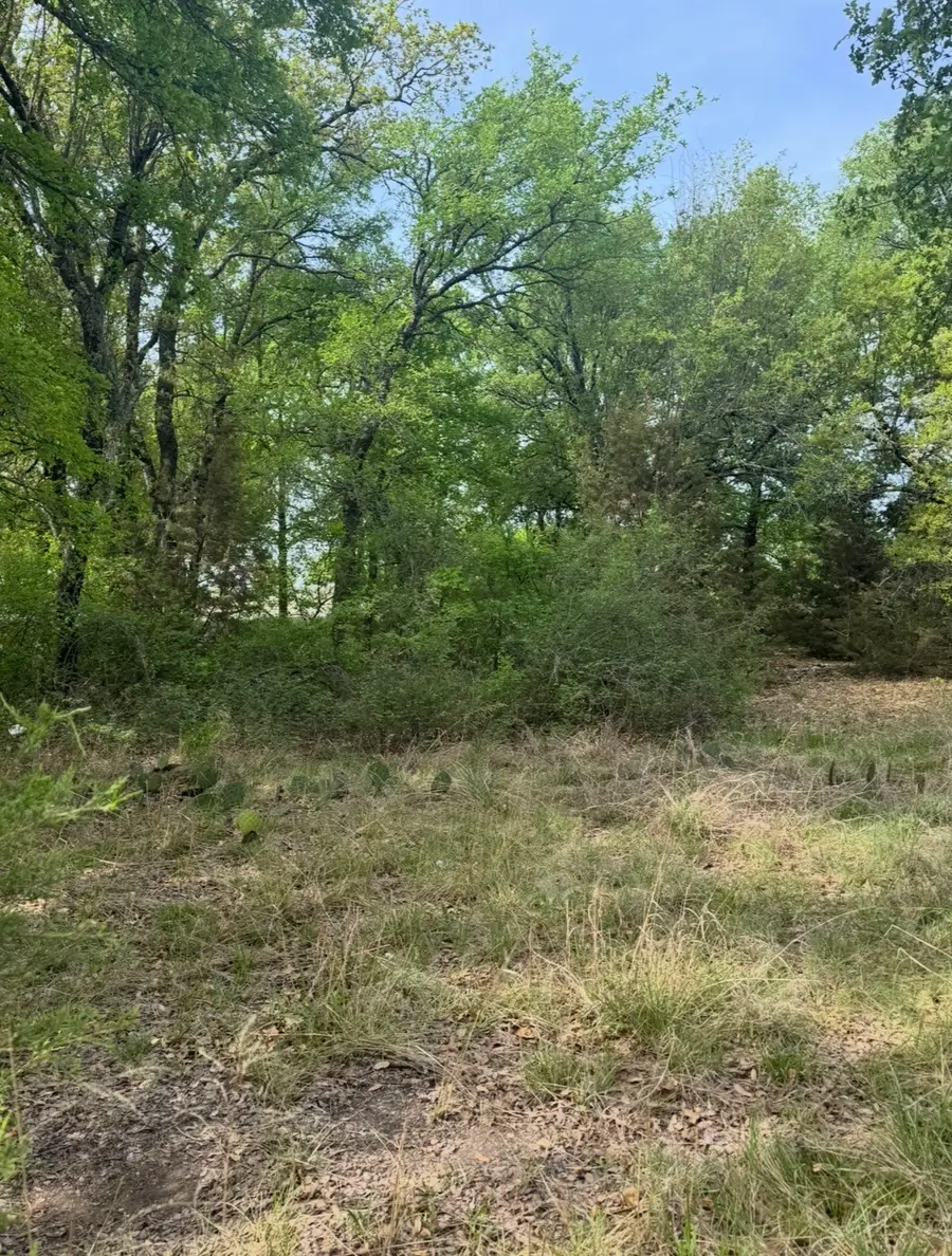 1016 Spring Ranch Drive, Weatherford, TX 76088 - #3