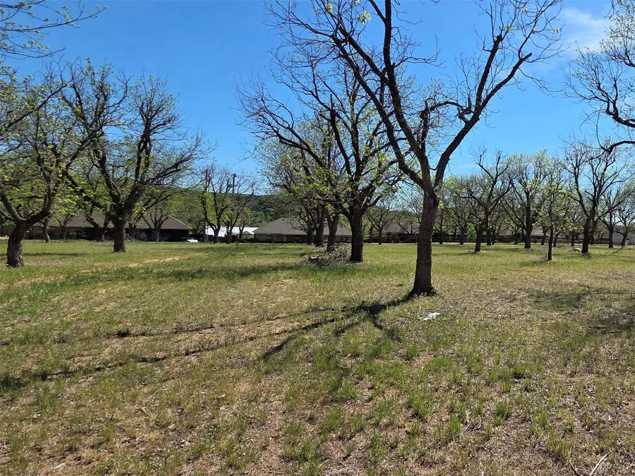 2343 E Landings S, Granbury, TX 76049 - #3