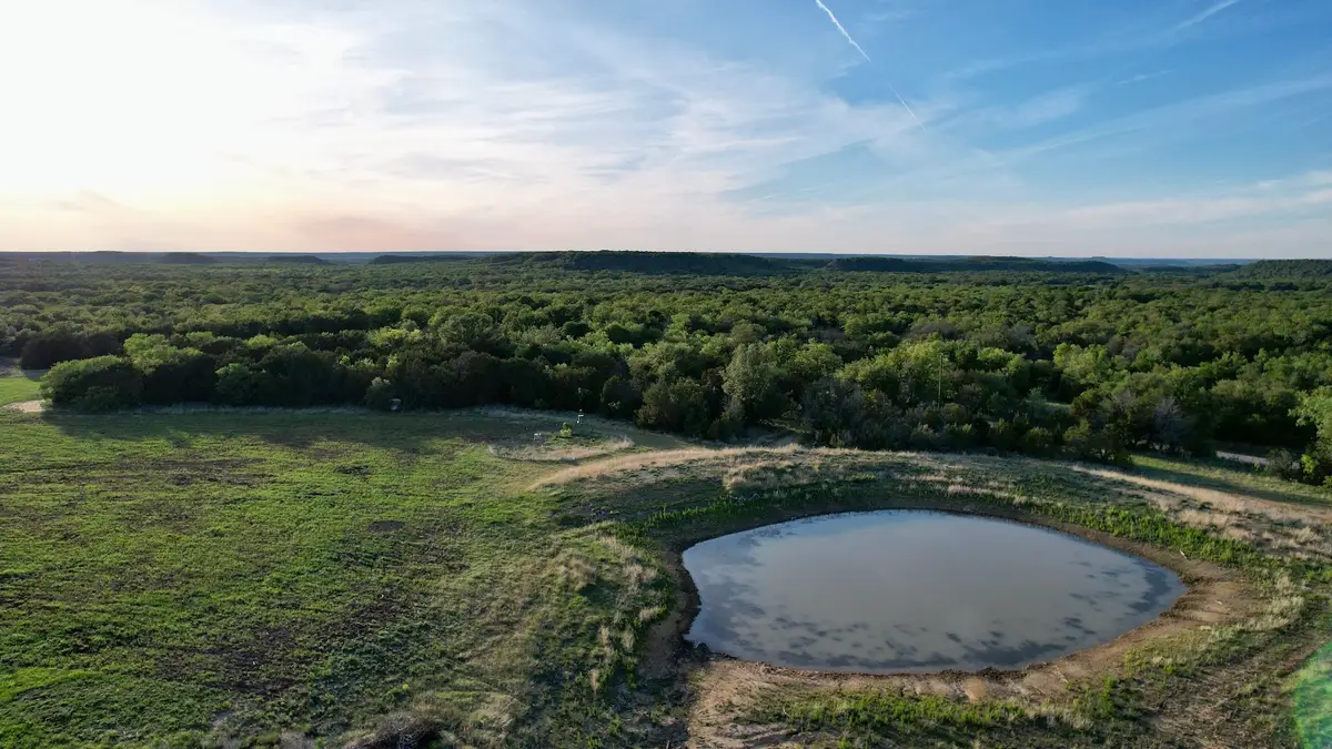 16811 County Road 107, Mingus, TX 76463 - #1