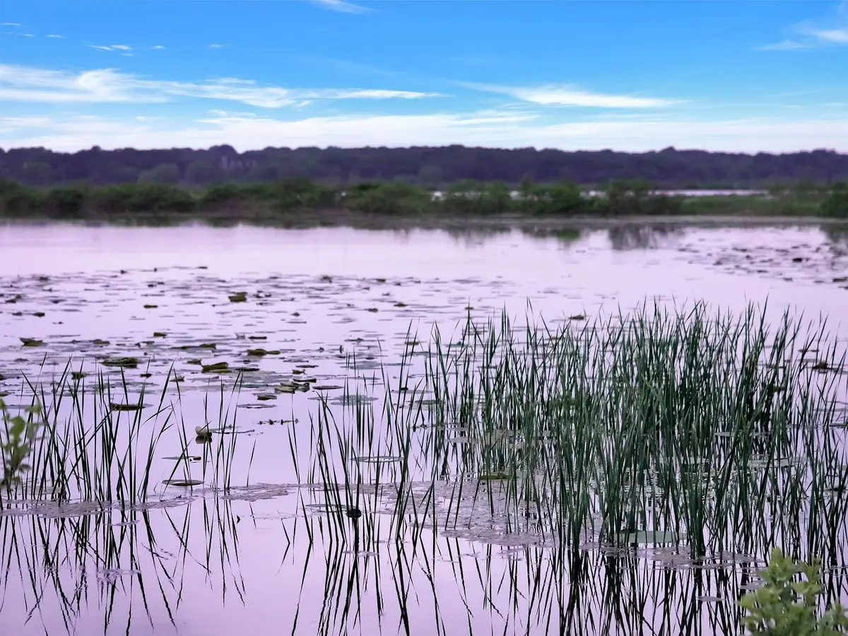 TBD Meridian Lane, Gordonville, TX 76245 - #1