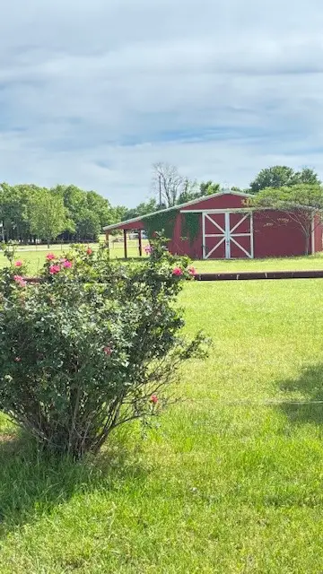 1307 Brent, Terrell, TX 75160 - #2