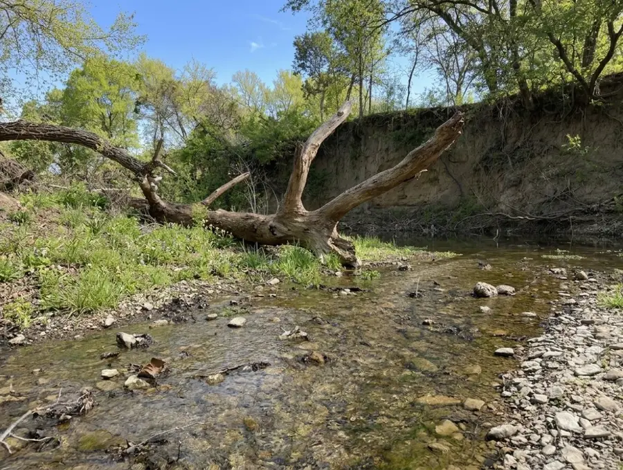 12031 Paradise, Bluff Dale, TX 76433 - #2