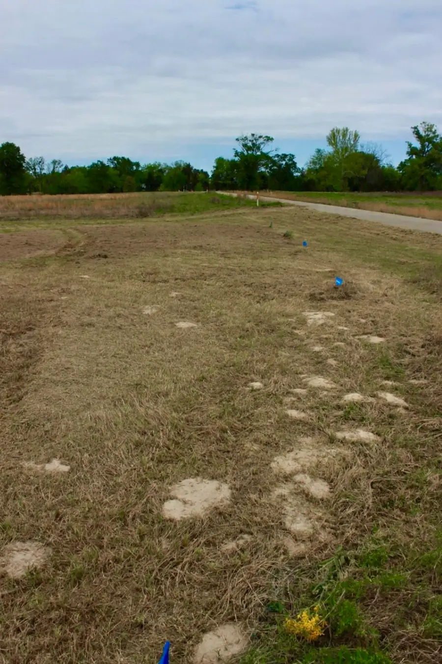 TBD Sunrise Bend, Pittsburg, TX 75686 - #2