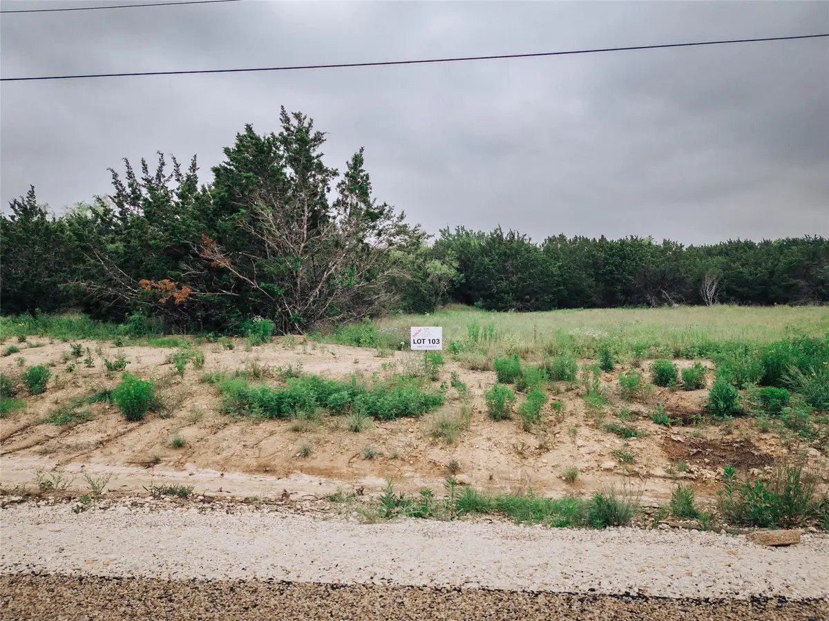1165 County Road 407, Nemo, TX 76070 - #1