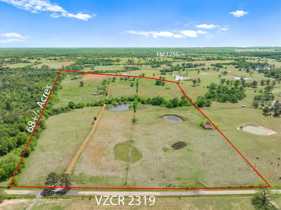 1421 Vz County Road 2319, Canton, TX 75103 - #2