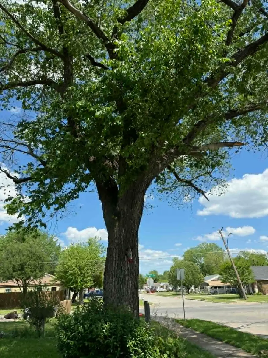 2671 Moffatt Avenue, Dallas, TX 75216 - #3