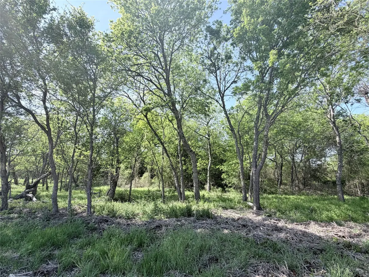 TBD County Road 3204, Abbott, TX 76621 - #1