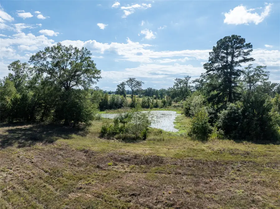 0 County Road 2142, Bagwell, TX 75412 - #2