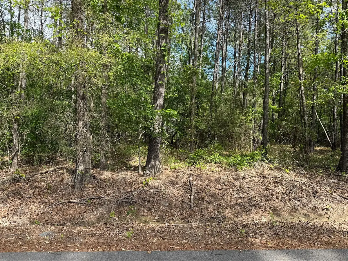 0 Sandwood Lane, Keithville, LA 71047 - #1