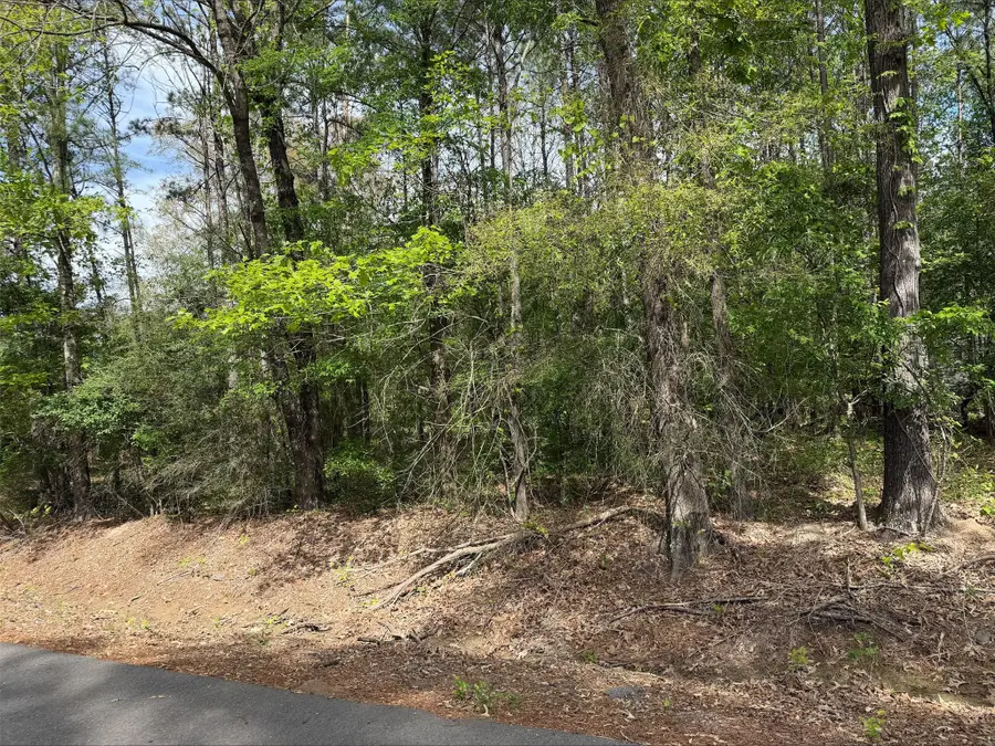 0 Sandwood Lane, Keithville, LA 71047 - #2