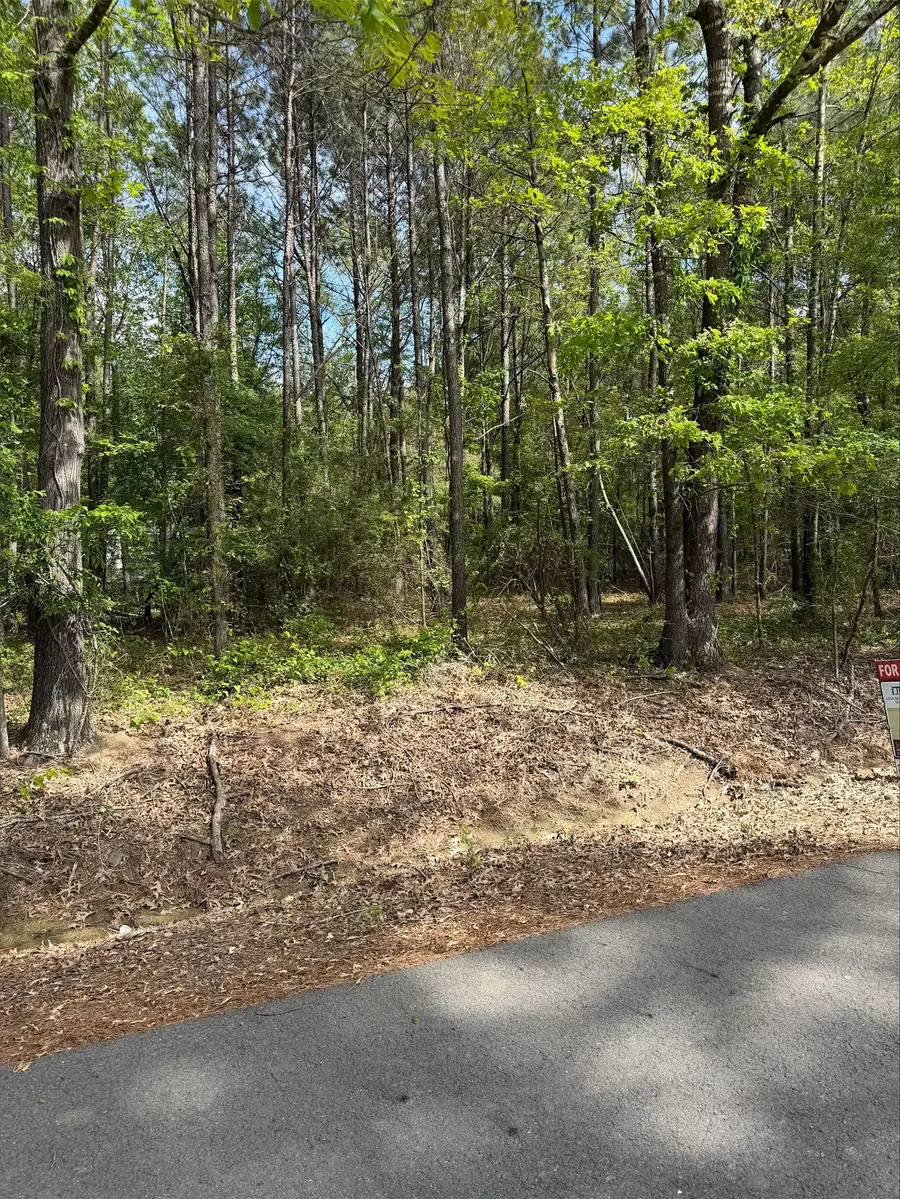 0 Sandwood Lane, Keithville, LA 71047 - #3