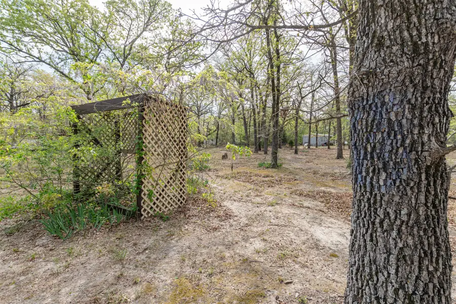 13995 E Travis Lane, Log Cabin, TX 75148 - #3