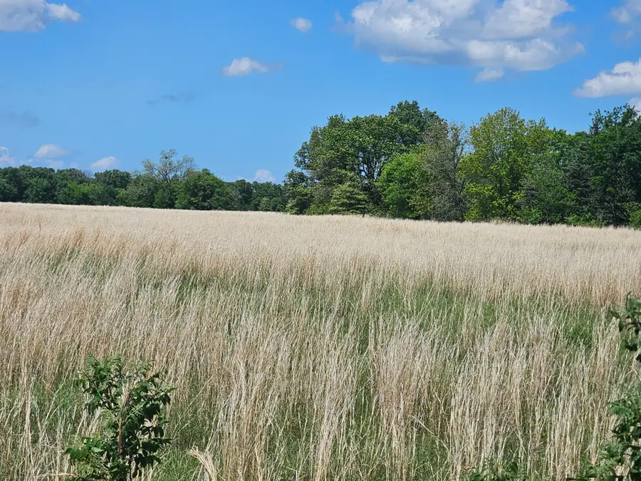 Lot 1 Cr 3609, Edgewood, TX 75117 - #2